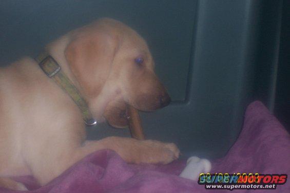 100_2263.jpg Edward