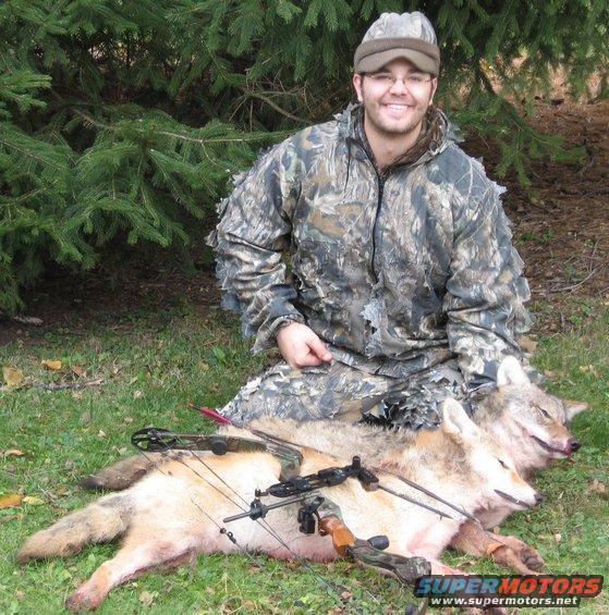 bowcoyotes-001.jpg Anchored TWO coyotes inside 25 minutes with my bow...not the animal I was trying to hunt that morning, but great morning anyway!