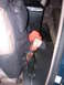 1993 Ford Bronco - The interior of a vehicle is visible, with a seat organizer holding various items and a black floor mat.