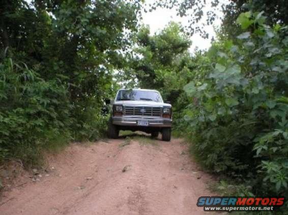 Front view of a silver 1980s Ford F-Series pickup truck on a dirt road surrounded by trees