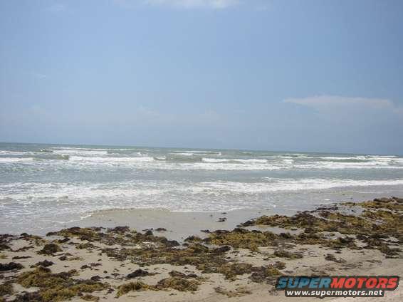 Sandy beach with seaweed and ocean waves under a blue sky