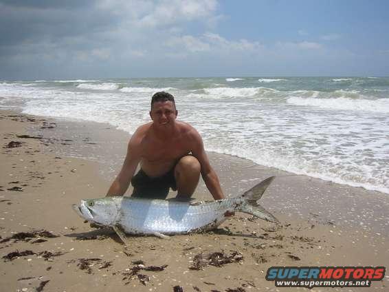tarpon_001.jpg Tarpon caught while shark fishing around the 24MM