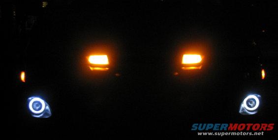 fog-halos-on.jpg Hella Optilux fog lights with halos lit up.