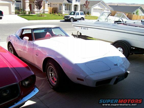 vette.jpg 