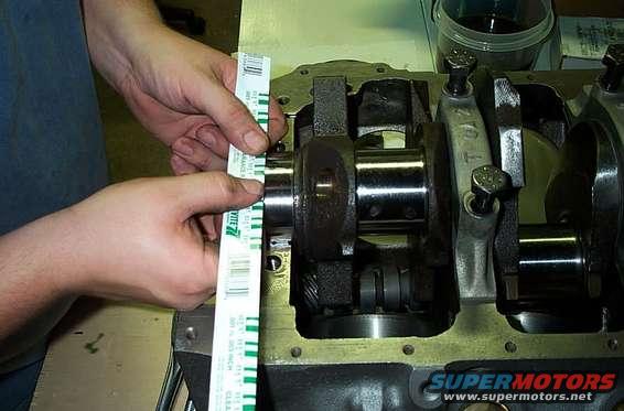 dcp_2468.jpg Plastiguagin the mains.