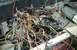 1978 Ford Bronco - Alot of Wires Pulled out