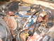 1978 Ford F-250 - Close-up view of a V8 engine bay, showing the carburetor, air filter, and numerous hoses and wires.