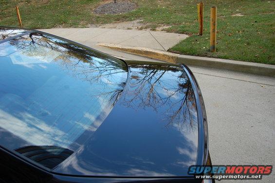 reflection of trees and sky on rear window and trunk of dark car