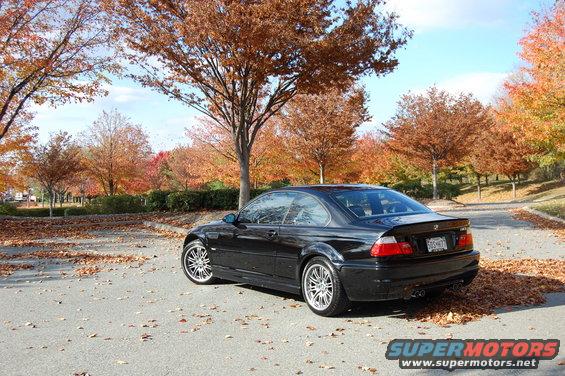 Black 2002 BMW M3 coupe parked on a paved surface covered in fallen autumn leaves