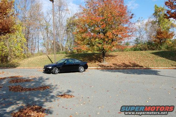 Black 2002 BMW M3 coupe parked on asphalt with fallen leaves