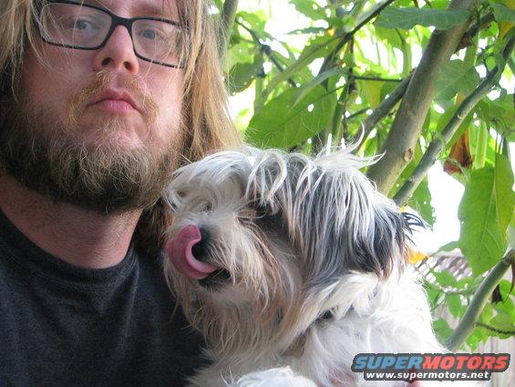 Man holding a dog with a Supermotors watermark