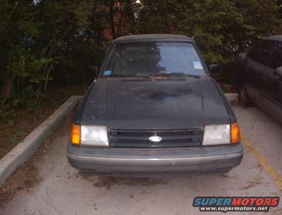 rud_0013.jpg 3 at the new shop