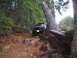 1989 Ford Bronco - A dark SUV navigates a challenging, rocky path in a dense forest, suggesting off-road adventure.