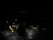 1979 Ford Bronco - A dark, off-road vehicle with large tires is parked on a wet surface at night, illuminated by its own lights.
