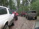 1979 Ford Bronco - Several Ford Broncos are parked in a wooded area, suggesting an off-road excursion.