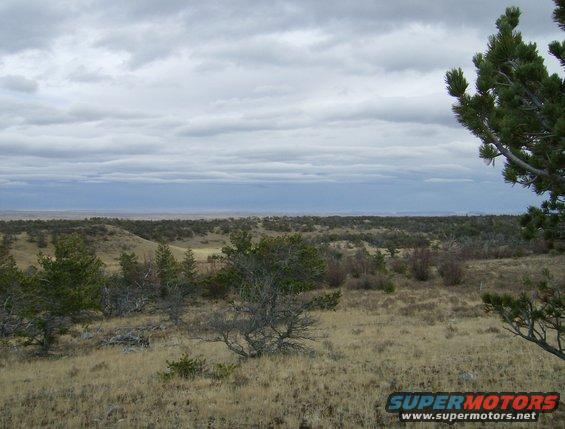 11-nov-08--scenery-2.jpg 