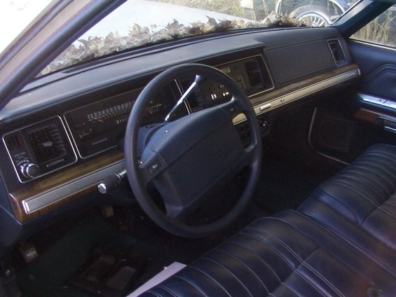 Car interior with dark blue vinyl seats, dashboard, and steering wheel. Leaves on the windshield