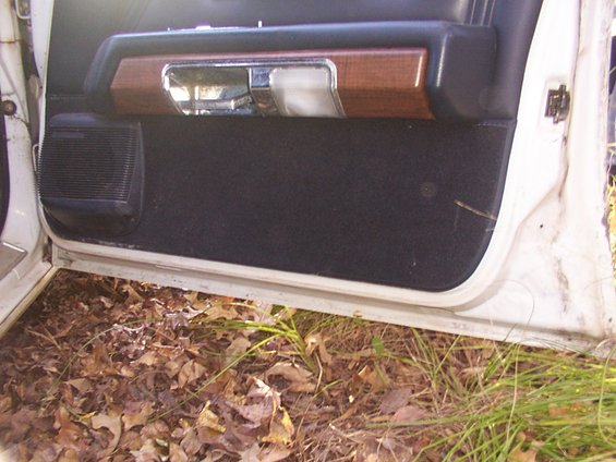White car interior door panel with black fabric insert and visible armrest