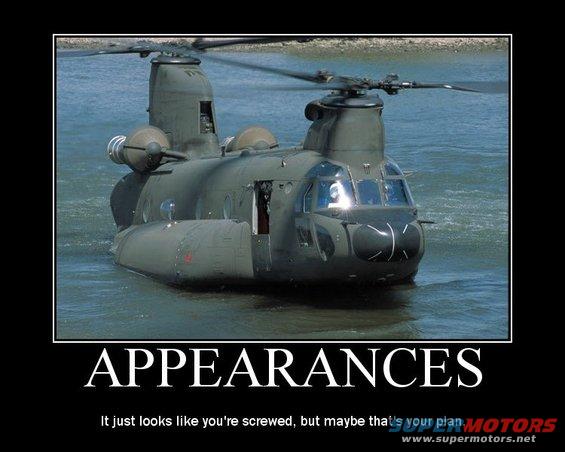 appearances.jpg 