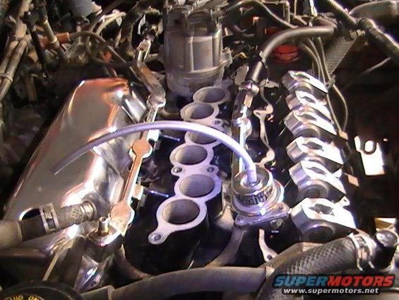 Engine bay with chrome intake manifold and distributor cap