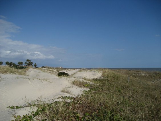 img_0957.jpg 