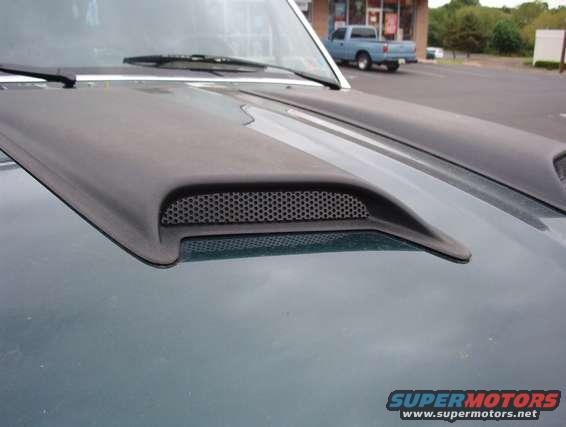 im001179.jpg Textured Hood Scoops