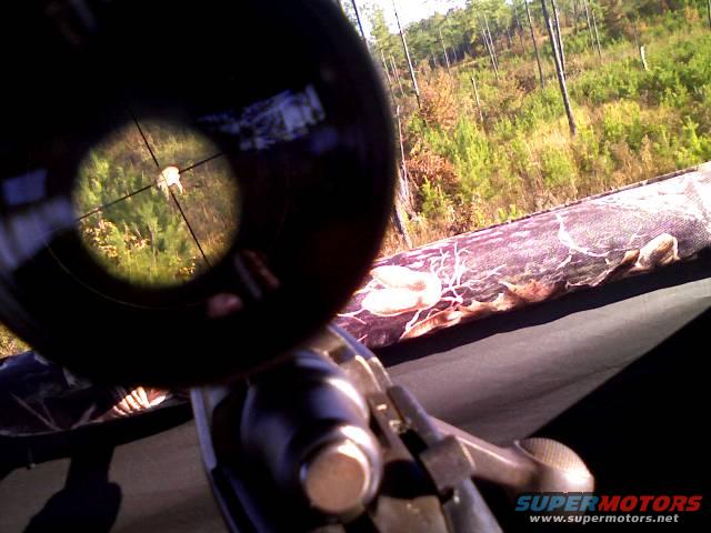 phone-scope2.jpg 