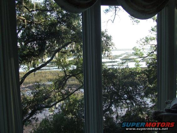 Marshland with trees and water, viewed through a window with columns