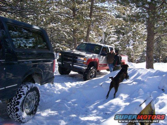 Two trucks parked in snow, one is a dark SUV and the other is a red and silver pickup. A dog jumps over a snowdrift