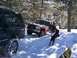 1979 Ford Bronco - A dog leaps over a snowy mound between two trucks in a wooded area.