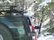 1979 Ford Bronco - Several vehicles are parked in a snowy forest, with the rear of a black SUV and its roof rack prominent in the foreground.