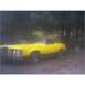 1973 Mercury Cougar - Yellow 1973 Mercury Cougar convertible parked in a wooded area.