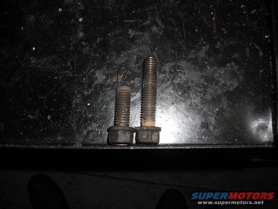 the top bell bolts need to be about an inch shorter than the side ones with the ZF bellhousing