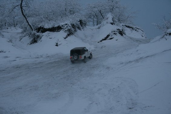 White Jeep Wrangler driving on a snowy road with trees covered in snow