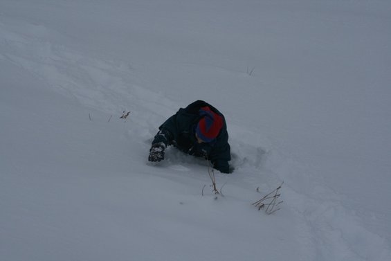 Child in snow, wearing a dark jacket and a red and blue hat