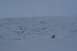 1990 Chevrolet Suburban - A wide expanse of a glacier covered in snow, with a muted, overcast sky above.