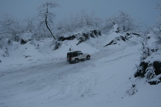 White Jeep Wrangler driving on a snowy road with trees covered in snow