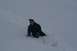 1990 Chevrolet Suburban - A child is playing in the snow, partially buried.