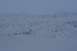 1990 Chevrolet Suburban - A vast, snow-covered mountain range stretches across the horizon under a muted, hazy sky.