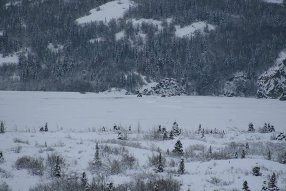 Two SUVs on a frozen, snow-covered lake with forested mountains in the background