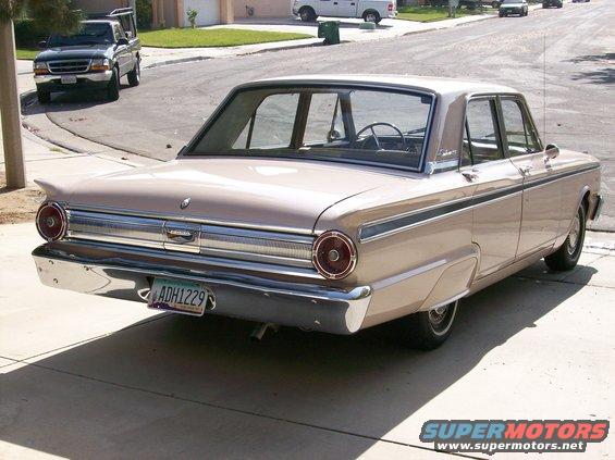 missy.jpg Missy from the rear. 