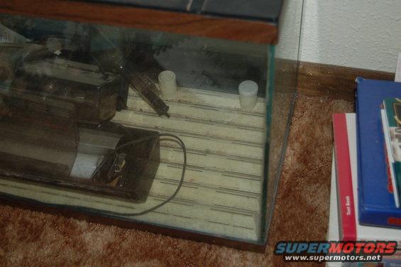 Aquarium filter and substrate with two small white containers inside