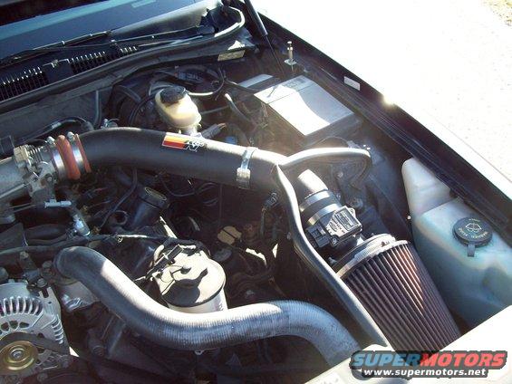 Engine bay with K&N air intake and filter
