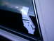 1989 Ford Bronco - Cal Bronco Sticker 3 Fullsizebronco.com