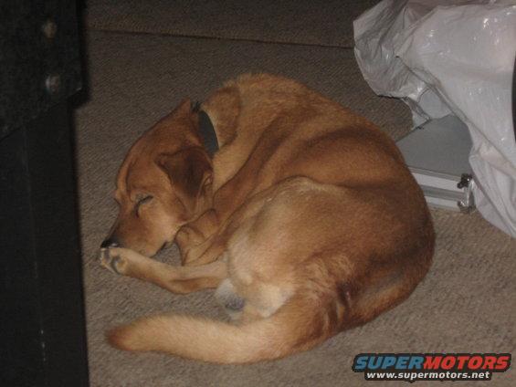 img_2886.jpg Scooter