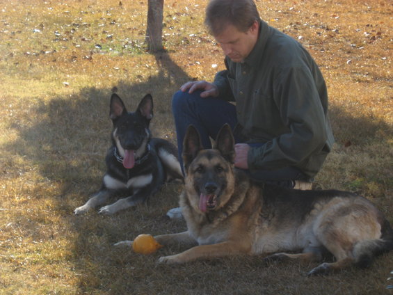 Man in green shirt crouches beside two German Shepherd dogs lying on grass with a yellow ball
