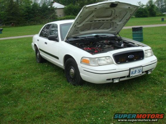White Ford Crown Victoria with hood open, showing engine. License plate AKJR-265
