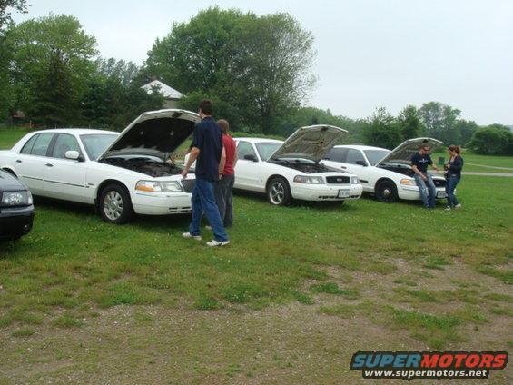 Several white Ford Crown Victorias with hoods open parked on grass