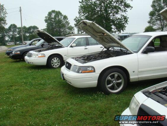 White 2004 Ford Crown Victoria with hood open, parked in a line with other cars