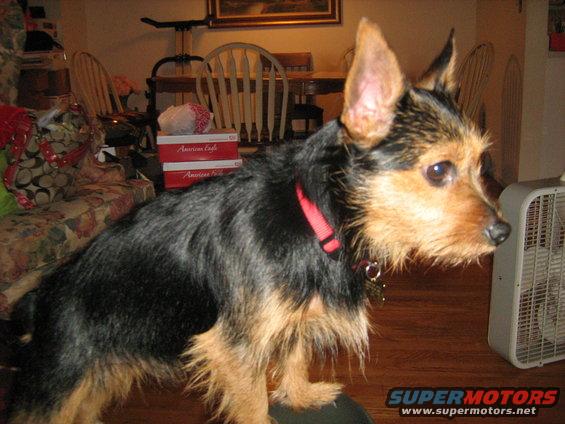 img_0135.jpg 11-28-08